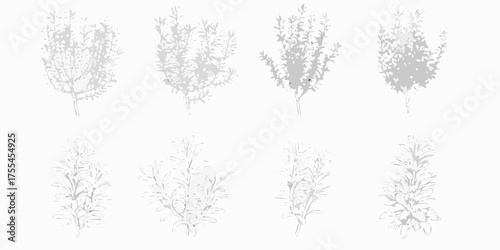 Collection of eight stylized grey botanical illustrations of various small plants and shrubs on a white background