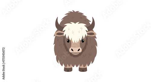 A cute fluffy yak standing facing forward with a white mane and large horns.