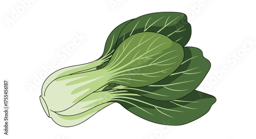 Bok choy a versatile leafy green vegetable packed with nutrients and flavor.