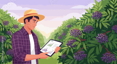 Agronomist Monitoring Elderberry Crop Yield with Digital Data Insights