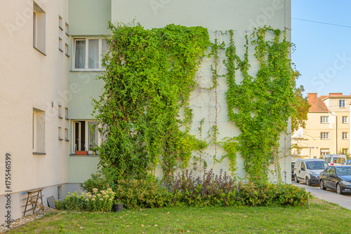 Fassadenbegrünung mit Kletterpflanzen in Wien Favoriten