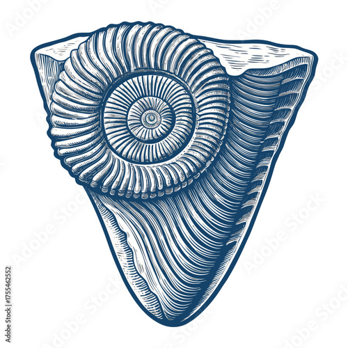 Vibrant Create Bold Stroke Ancient Tooth Fossil Clo High-Quality Stock Image