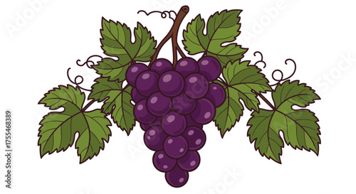Bunch of Ripe Purple Grapes with Green Leaves and Tendrils.