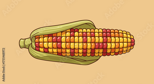 Indian Corn Ear with Colorful Kernels and Green Husk.