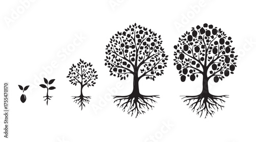 Dark outline of the life cycle of a plum tree set against a white backdrop. A plant develops from a seed into a plum tree, complete with ripe fruits and a root system.