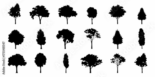 Collection of diverse black tree silhouettes isolated on a white background for design and illustration