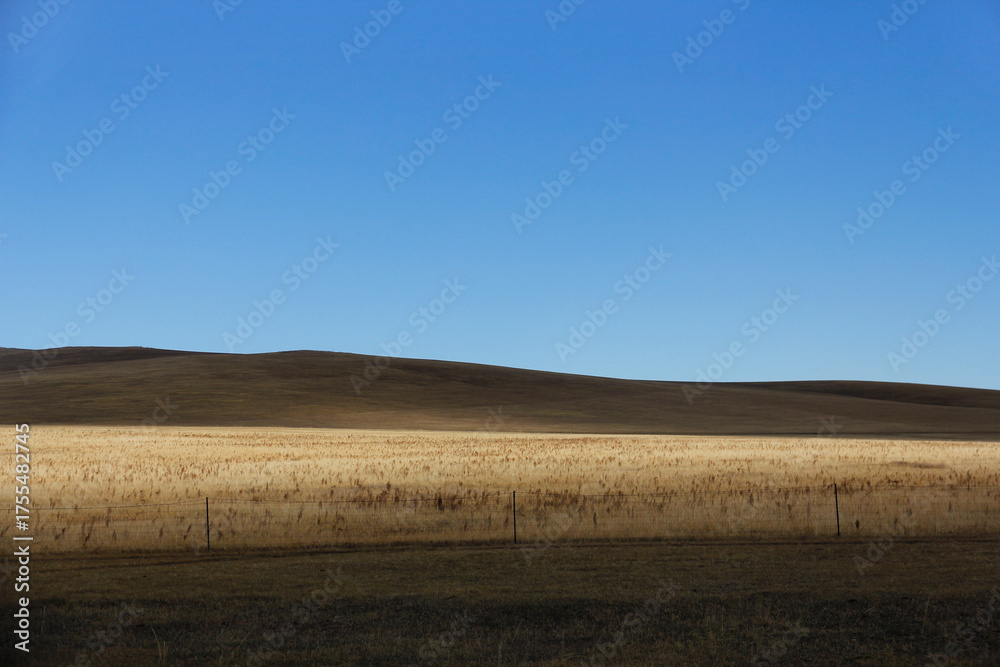 Fototapeta premium Vast open field under clear blue sky with rolling hills