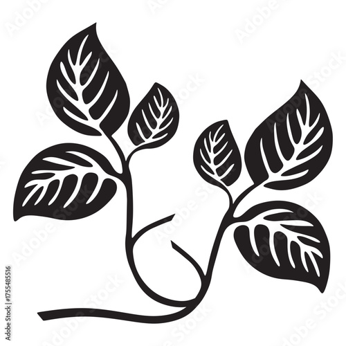 Natural Leaf Silhouette