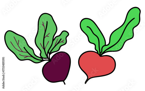 radish