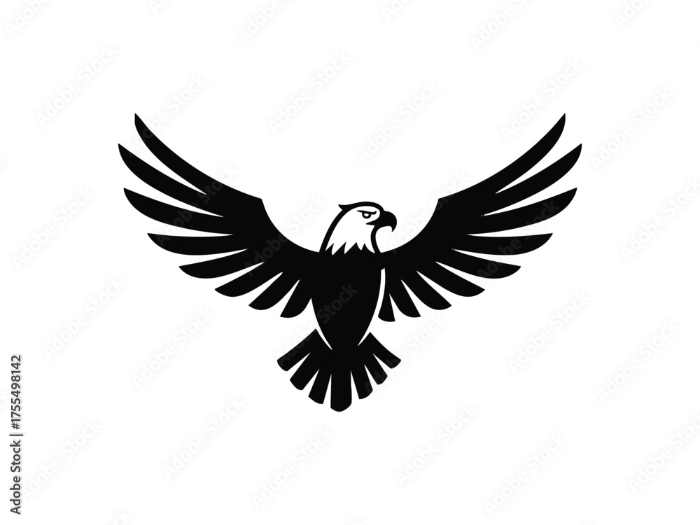 Obraz premium bald eagle