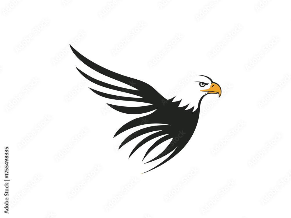 Fototapeta premium bald eagle 