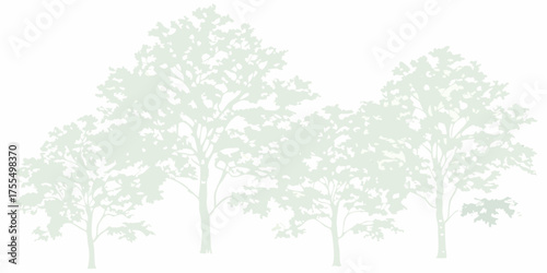 Gentle light green tree silhouettes against a clean white background in a natural forest setting