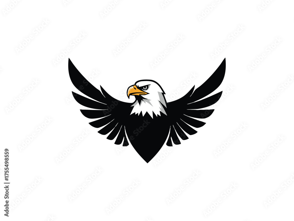 Obraz premium bald eagle 