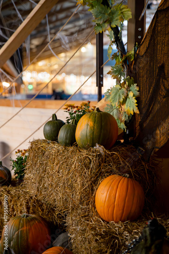 Festive Halloween pumpkin decoration display