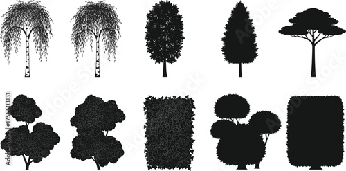 Tree and shrub silhouettes, willow, deciduous, evergreen, acacia, bushes, hedge, topiary, botanical shapes, cad drawing flat vector illustration