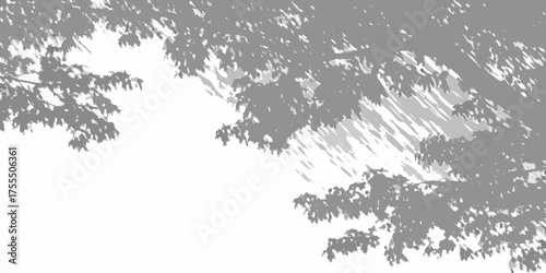 Abstract grayscale silhouette of tree branches and leaves casting dappled shadows on a white background
