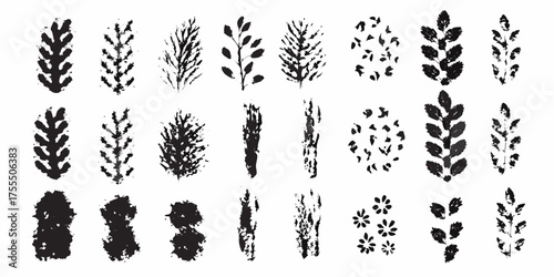 Collection of black and white textured botanical leaf imprints and flower sprigs on white background