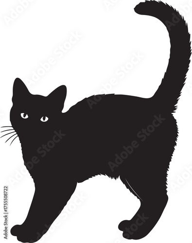A striking black cat silhouette with bright eyes stands alert on a pure white background isolated on white background