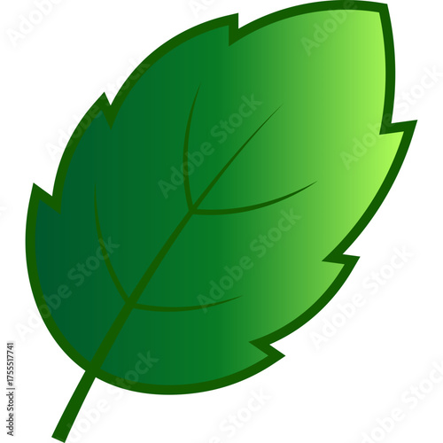 Green Tree Leaf Nature Element
