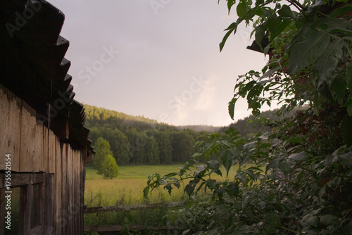 wooden house in nature