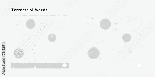 Abstract representation of terrestrial weeds with circular and diamond shapes on a light background
