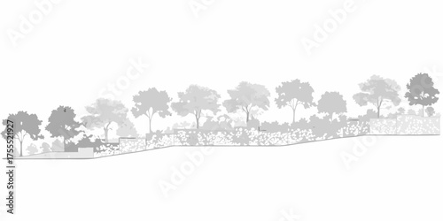 Stylized elevation drawing of a tiered landscape design with trees and shrubs