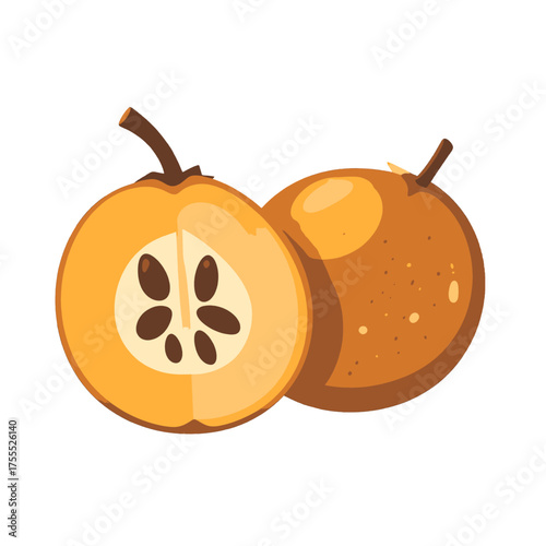 Loquat Fruit Half Cut and Whole Against White Background in Flat Vector Style