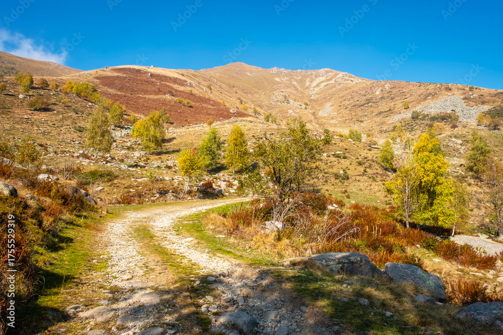 Fototapeta premium Trek path around the mountains in Valdilana region (Piedmont, Northern Italy). This area is a famous nature reserve, full of trekking paths.