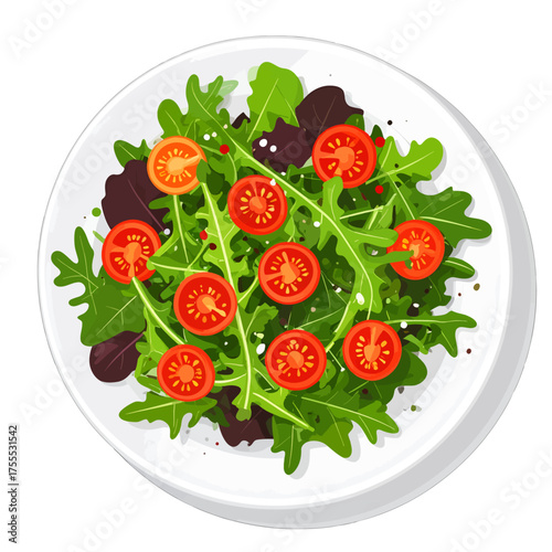 Overhead View of Arugula Salad with Cherry Tomatoes on White Plate in Bright Studio Lighting
