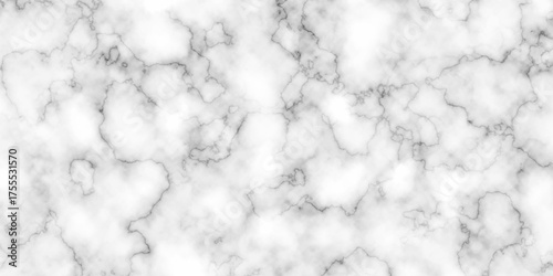 abstract  interior beautiful  black and  white Carrara slab interior tiles gradient luxury ceramic wall and floor kitchen texture background 