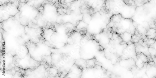 abstract  interior beautiful  black and  white Carrara slab interior tiles gradient luxury ceramic wall and floor kitchen texture background 