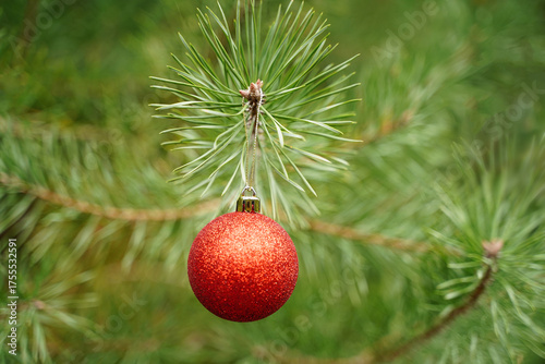 Red Christmas ornament hanging on a pine tree branch in a forest during winter.