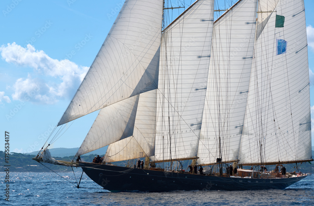 Naklejka premium sailing ship on the sea