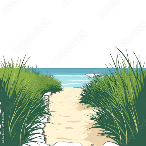 Scenic Sandy Path Leading to Blue Ocean Framed by Lush Green Grass on a Bright Day Under a Clear Sky