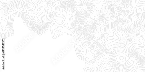 Abstract pattern with lines seamless pattern and topography map and counter map. abstract sea map area space geometric line technology topo landscape grid map texture.	
