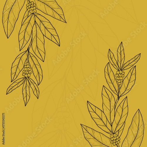 Golden Background Sketch Illustration of Coffee Plant Decoration with Leaves and Coffee Berries