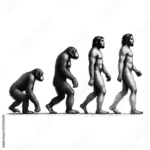 Human Evolution Process – From Ape To Modern Man Illustration