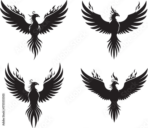 Four black phoenix bird silhouettes with fiery wings