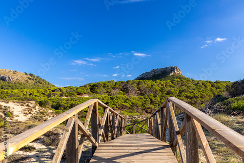 Naturschutzgebiet in den Dünen von Cala Mesquida, Mallorca, Spanien
