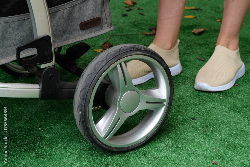 Fototapeta premium Mom with a baby in a stroller walks in the park on green grass