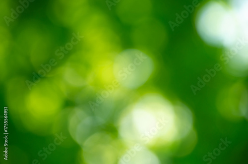 Green bokeh background from nature forest out of focus