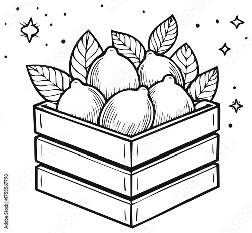 Lemons in a Crate with Leaves and Stars Line Art Illustration