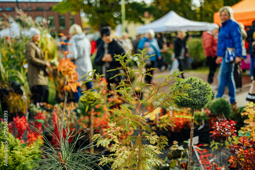 Autumn outdoor market with vibrant plants, shrubs, and trees in pots. People browse colorful foliage under tents, enjoying a sunny day filled with garden life and community spirit