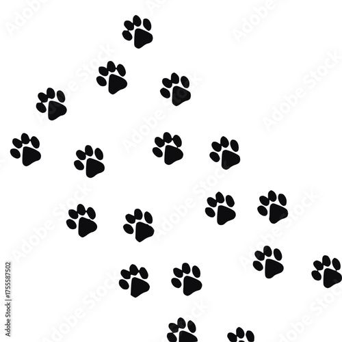 Cute Paw Print Illustration

Cartoon Animal Paw