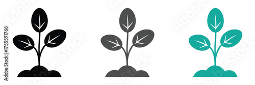 Three plant icons sprouting life, symbol of growth concept,Three plants in black, gray, and teal isolated on white background vector illustration