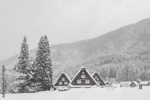白川郷　冬　雪景色