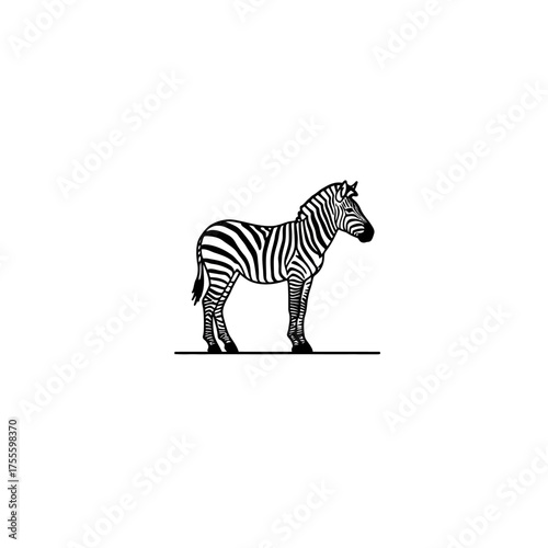 A minimalist vector illustration of a zebra, a classic black and white graphic icon representing African wildlife, safari adventures, and wild nature