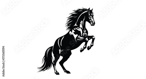 Vector illustration of black silhouette of a powerful horse rearing up on its hind legs with a flowing mane and tail