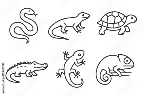 Line art of reptiles: snake, lizard, tortoise, crocodile, gecko, chameleon