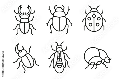 Outline illustrations of various insects including beetles and ladybug